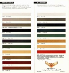 1986 Buick Riviera Exterior Colors-05-06.jpg